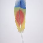 Neil Dawson, Vanity Suite. 11., 2022