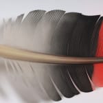 Neil Dawson, Vanity Suite. 11., 2022