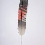 Neil Dawson, Vanity Suite. 11., 2022