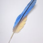 Neil Dawson, Vanity Suite. 11., 2022