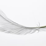 Neil Dawson, Vanity Suite. 11., 2022