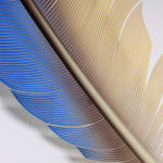 Neil Dawson, Vanity Suite. 11., 2022