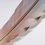 Neil Dawson, Vanity Suite. 11., 2022