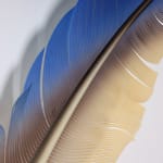 Neil Dawson, Vanity Suite. 11., 2022