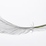 Neil Dawson, Vanity Suite. 11., 2022