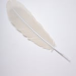 Neil Dawson, Vanity Suite. 11., 2022