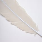 Neil Dawson, Vanity Suite. 11., 2022