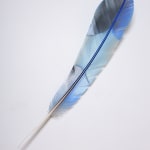 Neil Dawson, Vanity Suite. 11., 2022