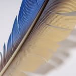 Neil Dawson, Vanity Suite. 11., 2022