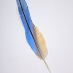 Neil Dawson, Vanity Suite. 11., 2022