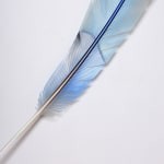 Neil Dawson, Vanity Suite. 11., 2022