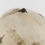 TOSHIKO TAKAEZU, Untitled (Moon), ca. 1990s