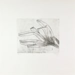 Prunella Clough, Paper Flower, 1996