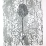 Prunella Clough, Untitled (Floating Leaves), 1976