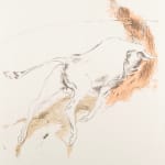 Elisabeth Frink, Horse's Head, 1970
