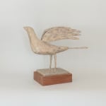 Christopher Marvell, Flamboyant Bird
