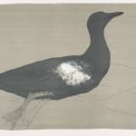 Elisabeth Frink, I Flew Through a Black Cloud and the Winds Came up from the Hills Below Me