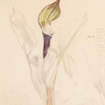 John Nash, Gladiolus 'Byzantinus', June, 1969