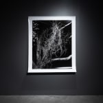 Harry Culy Jhana Millers Gallery