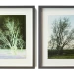 Caroline McQuarrie and Marci Tackett Jhana Millers Gallery
