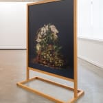 Ann Shelton Jhana Millers Gallery