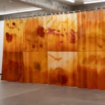 Ruby Wilkinson Jhana Millers Art Gallery