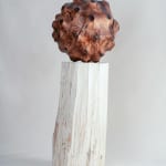 Sam Woo-Ram Choi Jhana Millers Gallery