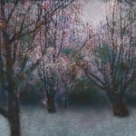 Richard Cartwright, Plum Trees in Blossom, 2022