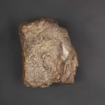 Deborah Bell, Sentinel Fragment VIII Ed 1/12, 2020