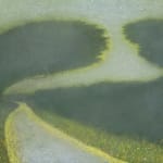 Richard Cartwright, In a Country Lane, 2024