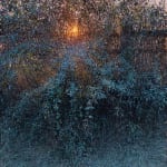 Andrew Gifford, 10. Frost on Bramble Hedge, Barcombe Mills I, 2024
