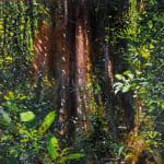 Andrew Gifford, Giant Fig, Monteverde, 2025