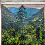 Andrew Gifford, Giant Fig, Monteverde, 2025