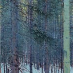 Andrew Gifford, Pine and Aspen in The Rockies, Colorado II, 2022