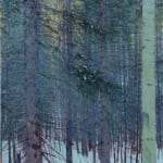 Andrew Gifford, Pine and Aspen in The Rockies, Colorado II, 2024