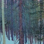 Andrew Gifford, Pine and Aspen in The Rockies, Colorado II, 2024