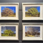 David Tress, Alton Barnes, Wiltshire, 2019