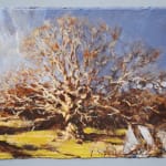 David Tress, Alton Barnes, Wiltshire, 2019