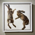 Katie Wilkins, Boxing hares