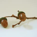 Penkridge Ceramics, Long twig with 2 brown acorns