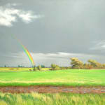 Brian Yale, Rainbow