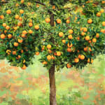 Alan Thompson, Orange tree II SOLD