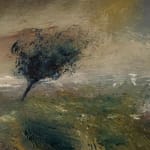 Rachel Arif, Windswept tree