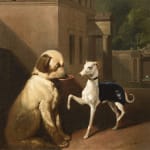 Continental School, The Begging Bowl - Italian Greyhound & another dog