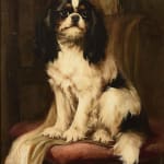 Hugh George Shaw, Study of a Cavalier King Charles Spaniel