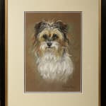 Marjorie Cox, Bright Eyes - a rough-haired terrier (full face)