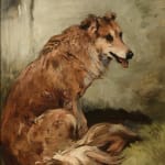 John Emms, Study of a Collie sheepdog