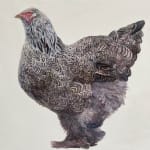 Katie Wilkins, The Brahma hen