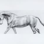 Joseph Black, Yanworth II