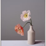 Jo Barrett, Still Life with Iceland Poppies and Stoneware Bottle - From the Fern Verrow Collection , 2021